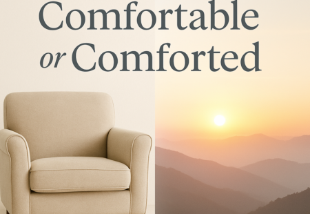 Comfortable or Comforted?
